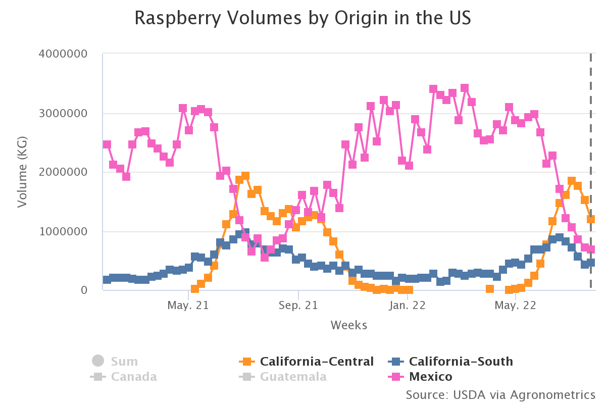 raspberry volumes by ori 3